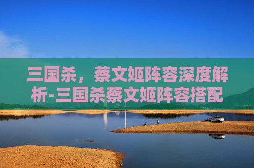 三国杀，蔡文姬阵容深度解析-三国杀蔡文姬阵容搭配