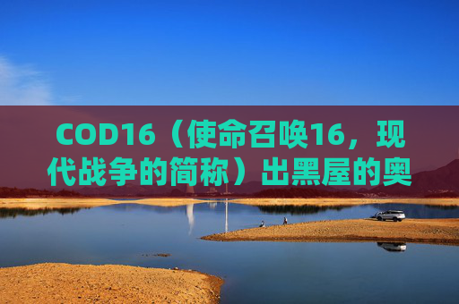 COD16（使命召唤16，现代战争的简称）出黑屋的奥秘-使命召唤16小黑屋怎么查