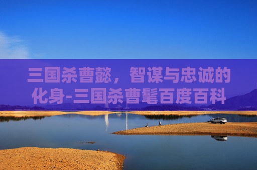三国杀曹懿,智谋与忠诚的化身-三国杀曹髦百度百科 三国杀曹懿,智谋与忠诚的化身-三国杀曹髦百度百科