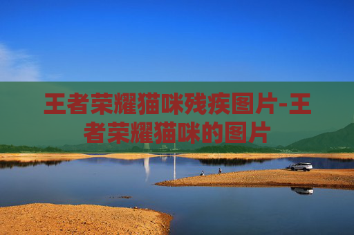王者荣耀猫咪残疾图片-王者荣耀猫咪的图片