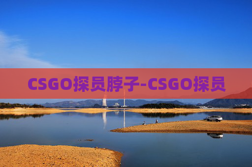 CSGO探员脖子-CSGO探员