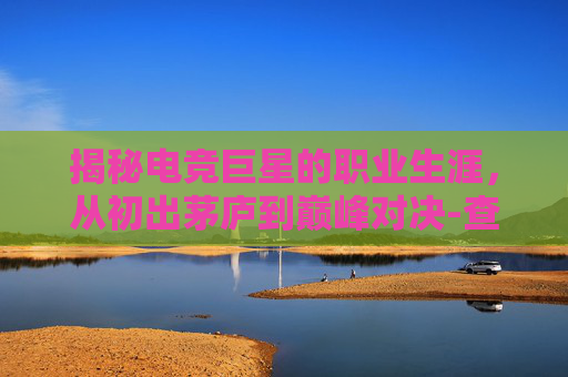 揭秘电竞巨星的职业生涯，从初出茅庐到巅峰对决-查lol职业选手生涯数据