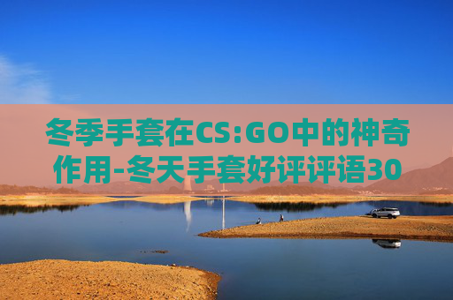 冬季手套在CS:GO中的神奇作用-冬天手套好评评语30字