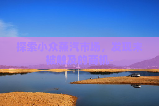 探索小众蒸汽市场,发现未被触及的商机- 探索小众蒸汽市场,发现未被触及的商机-