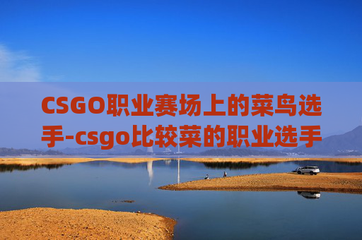 CSGO职业赛场上的菜鸟选手-csgo比较菜的职业选手有哪些
