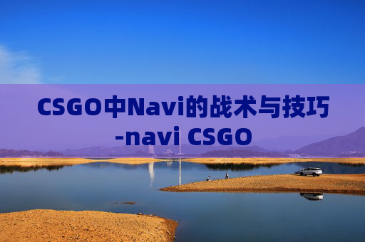 CSGO中Navi的战术与技巧-navi CSGO