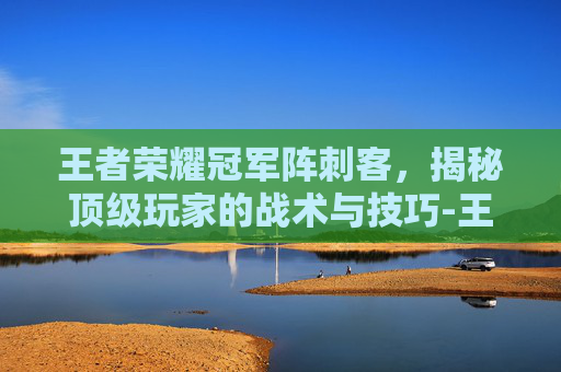 王者荣耀冠军阵刺客,揭秘顶级玩家的战术与技巧-王者荣耀冠军阵刺客怎么玩 王者荣耀冠军阵刺客,揭秘顶级玩家的战术与技巧-王者荣耀冠军阵刺客怎么玩