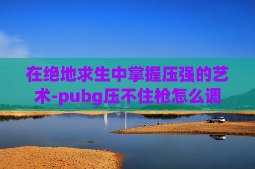在绝地求生中掌握压强的艺术-pubg压不住枪怎么调