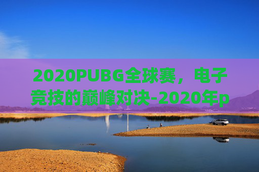 2020PUBG全球赛，电子竞技的巅峰对决-2020年pubg世界赛