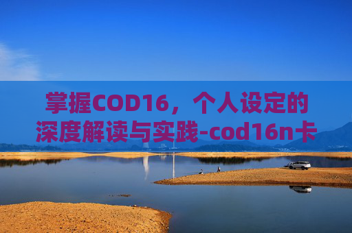 掌握COD16，个人设定的深度解读与实践-cod16n卡设置