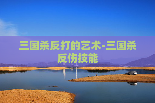 三国杀反打的艺术-三国杀反伤技能