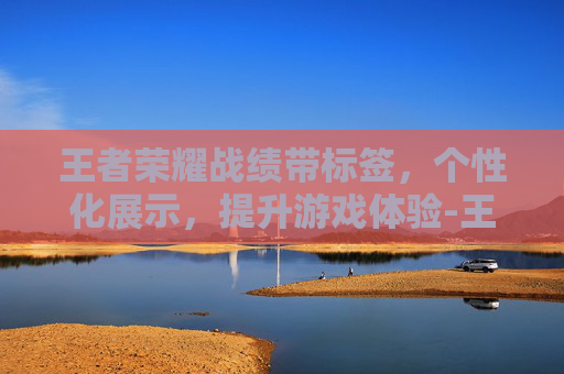王者荣耀战绩带标签,个性化展示,提升游戏体验-王者荣耀战绩带标签怎么设置 王者荣耀战绩带标签,个性化展示,提升游戏体验-王者荣耀战绩带标签怎么设置
