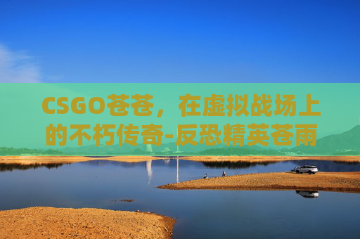 CSGO苍苍,在虚拟战场上的不朽传奇-反恐精英苍雨 CSGO苍苍,在虚拟战场上的不朽传奇-反恐精英苍雨