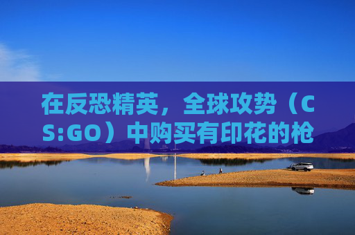 在反恐精英,全球攻势(CS:GO)中购买有印花的枪- 在反恐精英,全球攻势(CS:GO)中购买有印花的枪-