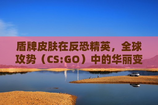 盾牌皮肤在反恐精英,全球攻势(CS:GO)中的华丽变身-盾牌皮肤左边显示不出来怎么恢复 盾牌皮肤在反恐精英,全球攻势(CS:GO)中的华丽变身-盾牌皮肤左边显示不出来怎么恢复