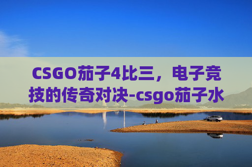CSGO茄子4比三，电子竞技的传奇对决-csgo茄子水平