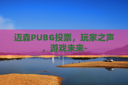 迈森PUBG投票，玩家之声，游戏未来-