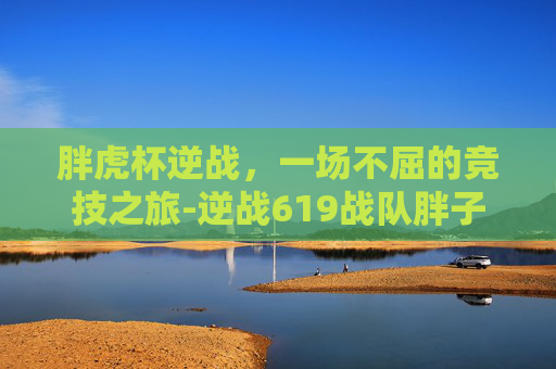 胖虎杯逆战，一场不屈的竞技之旅-逆战619战队胖子