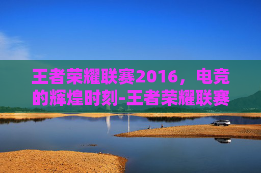 王者荣耀联赛2016，电竞的辉煌时刻-王者荣耀联赛2016视频回放