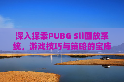 深入探索PUBG Sli回放系统，游戏技巧与策略的宝库-PUBG回放