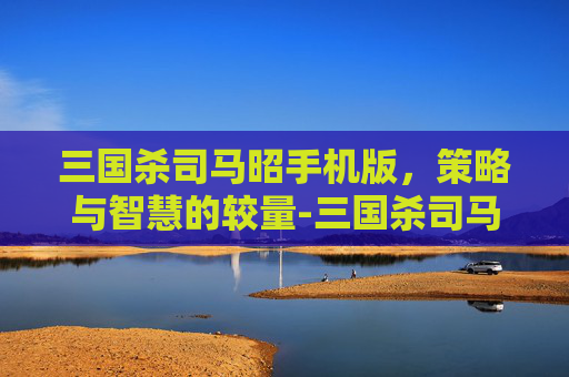 三国杀司马昭手机版，策略与智慧的较量-三国杀司马昭手机版下载