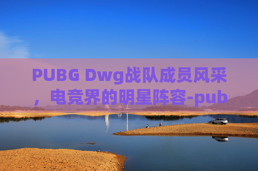 PUBG Dwg战队成员风采，电竞界的明星阵容-pubg wbg战队