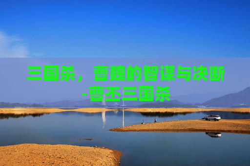 三国杀，曹魏的智谋与决断-曹丕三国杀