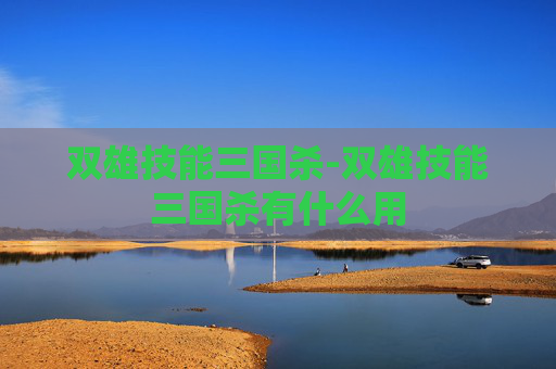 双雄技能三国杀-双雄技能三国杀有什么用