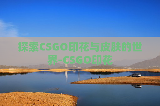 探索CSGO印花与皮肤的世界-CSGO印花