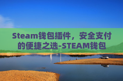 Steam钱包插件，安全支付的便捷之选-STEAM钱包