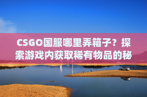 CSGO国服哪里弄箱子？探索游戏内获取稀有物品的秘诀-csgo国服哪里弄箱子好