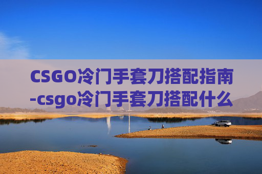 CSGO冷门手套刀搭配指南-csgo冷门手套刀搭配什么