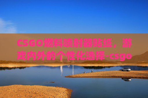 CSGO燃料喷射器贴纸，游戏内外的个性化选择-csgo燃料喷射器贴纸怎么贴