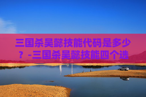 三国杀吴懿技能代码是多少？-三国杀吴懿技能四个选项