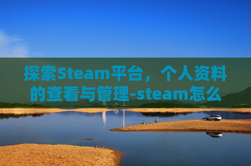 探索Steam平台，个人资料的查看与管理-steam怎么看个人资料