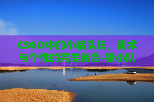 CSGO中的小猪队长，战术与个性的完美结合-猪小队一