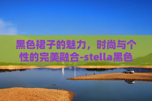 黑色裙子的魅力，时尚与个性的完美融合-stella黑色裙子