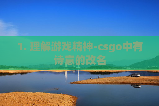 1. 理解游戏精神-csgo中有诗意的改名