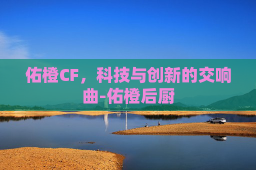 佑橙CF，科技与创新的交响曲-佑橙后厨