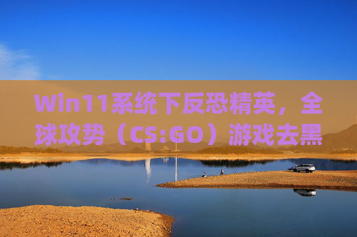 Win11系统下反恐精英，全球攻势（CS:GO）游戏去黑边技巧-win11csgo全屏4比3去黑边