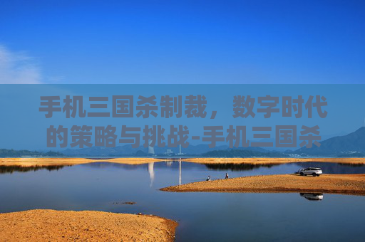 手机三国杀制裁,数字时代的策略与挑战-手机三国杀制裁有什么用 手机三国杀制裁,数字时代的策略与挑战-手机三国杀制裁有什么用