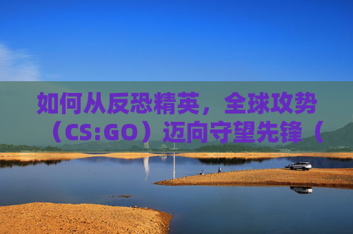 如何从反恐精英，全球攻势（CS:GO）迈向守望先锋（Overwatch），获得OW资格的路径-CSGO里的ow