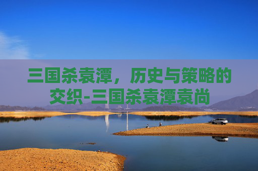 三国杀袁潭，历史与策略的交织-三国杀袁潭袁尚