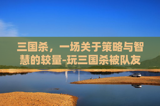 三国杀，一场关于策略与智慧的较量-玩三国杀被队友扔菜