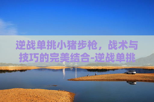 逆战单挑小猪步枪,战术与技巧的完美结合-逆战单挑小猪步枪怎么获得 逆战单挑小猪步枪,战术与技巧的完美结合-逆战单挑小猪步枪怎么获得
