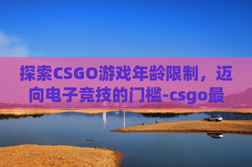 探索CSGO游戏年龄限制，迈向电子竞技的门槛-csgo最大多少岁可以玩