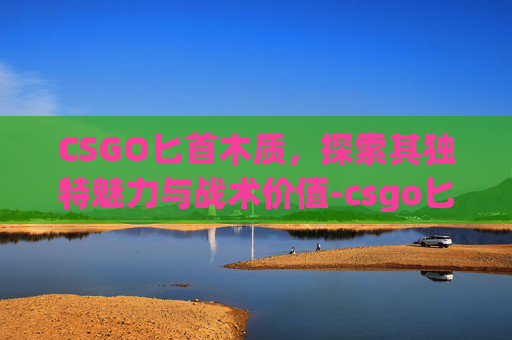 CSGO匕首木质,探索其独特魅力与战术价值-csgo匕首推荐 CSGO匕首木质,探索其独特魅力与战术价值-csgo匕首推荐