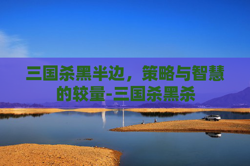三国杀黑半边，策略与智慧的较量-三国杀黑杀
