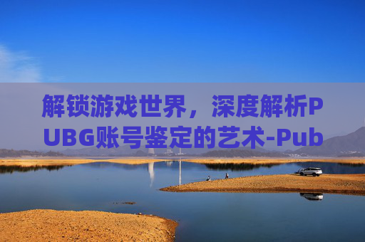 解锁游戏世界,深度解析PUBG账号鉴定的艺术-Pubg账号检测查询 解锁游戏世界,深度解析PUBG账号鉴定的艺术-Pubg账号检测查询