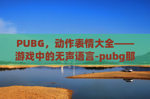 PUBG,动作表情大全——游戏中的无声语言-pubg那些绝版的动作表情 PUBG,动作表情大全——游戏中的无声语言-pubg那些绝版的动作表情